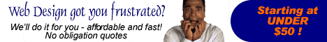 professional web design for an affordable cost!